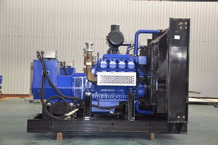 沼气发电机组维修基本原理与燃气发电机组维护要点解析