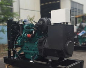 引领高效能源变革 解析3000kW多燃料系列发电机组