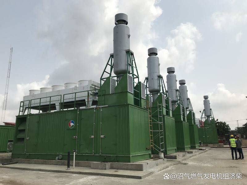燃气发电机组启动后发现异常情况的应急处理指南